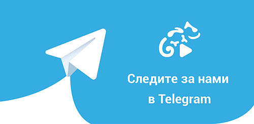 канал в telegram 34.spravo4ki-z.ru